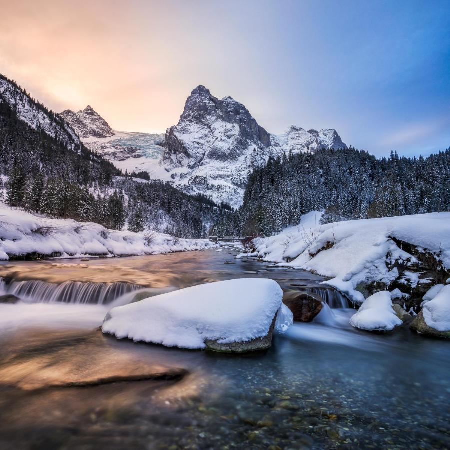 Parkhotel Du Sauvage Meiringen Zewnętrze zdjęcie