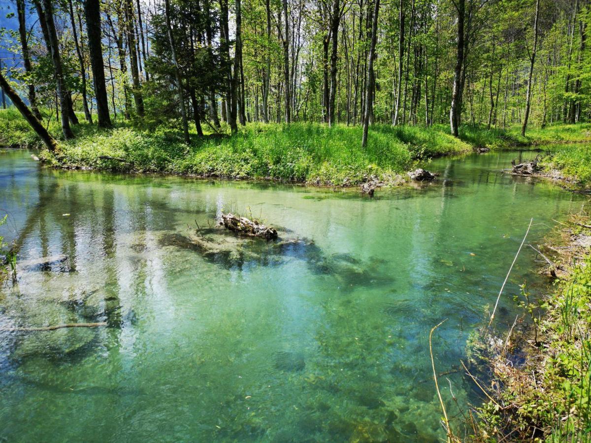 Parkhotel Du Sauvage Meiringen Zewnętrze zdjęcie