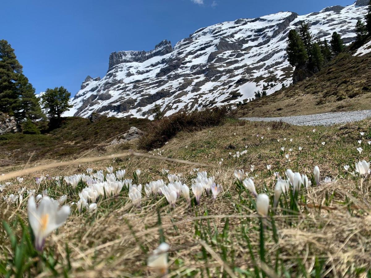 Parkhotel Du Sauvage Meiringen Zewnętrze zdjęcie